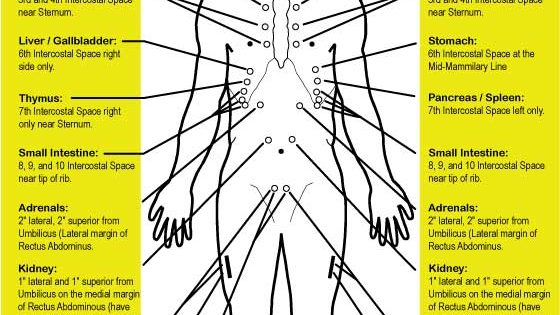 Nutritional Exam - Chapman Reflex Points - IFNH